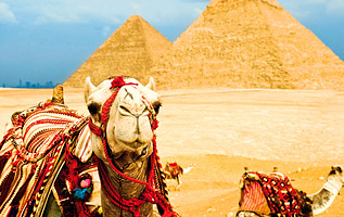 Бюджетный отдых в Египте
